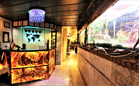 Kimia (Parsi) Apartment Hotel Tehran