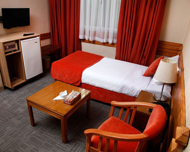 Alborz Hotel Tehran 16