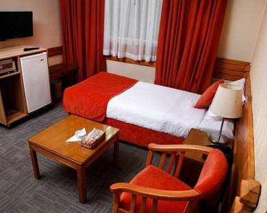 Alborz Hotel Tehran 12