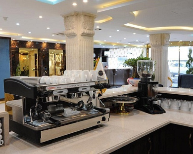 Amatis Hotel Tehran 23