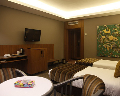 Amir Hotel Tehran 28