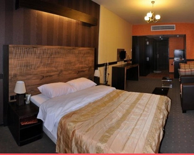 Apadana Hotel Mashhad 12