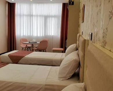 Arad Hotel Tehran 3