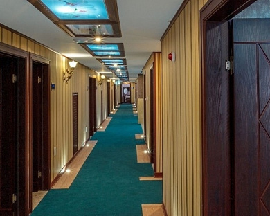 Aramis Hotel Tehran 9