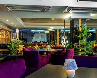 Aramis Hotel Tehran 14