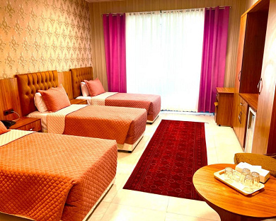 Arya Hotel Tehran 15