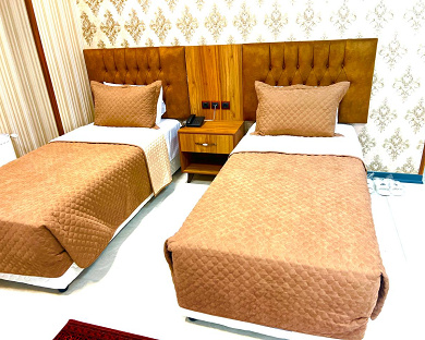 Arya Hotel Tehran 13