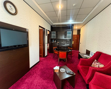 Asareh Hotel Tehran 3