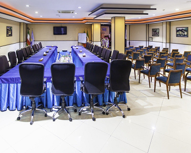 Asareh Hotel Tehran 7