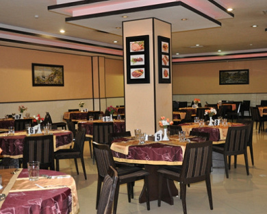 Asareh Hotel Tehran 14