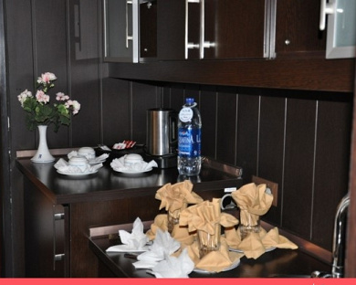 Asareh Hotel Tehran 21
