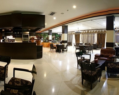 Asareh Hotel Tehran 27