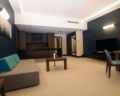 Atana Hotel Tehran 26