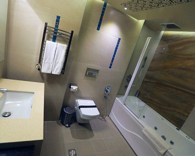 Atana Hotel Tehran 14