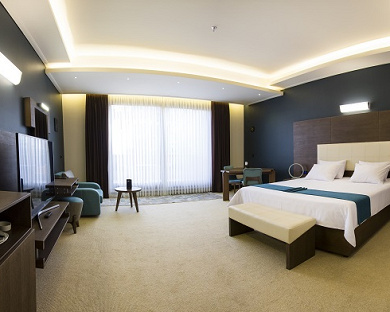 Atana Hotel Tehran 36