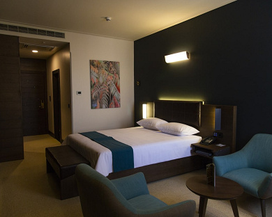 Atana Hotel Tehran 38