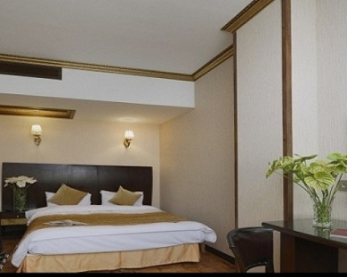 Bozorg Ferdowsi Hotel Tehran 39
