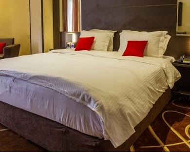 Bozorg Hotel Tehran 14