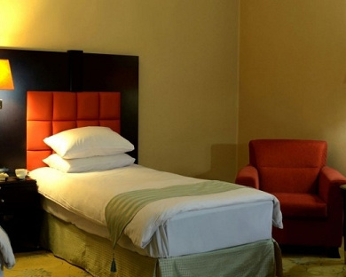 Bozorg Hotel Tehran 27