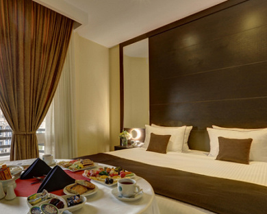 Bozorg Hotel Tehran 39