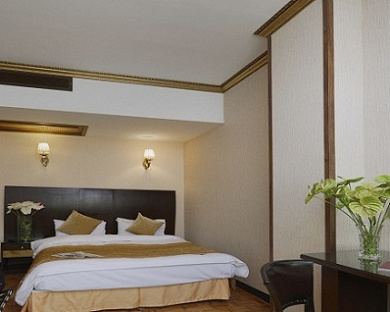 Bozorg Ferdowsi Hotel Tehran 47