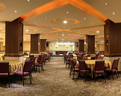 Bozorg 2 Hotel Tehran 4