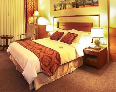 Dariush Grand Hotel Hotel Mashhad 48