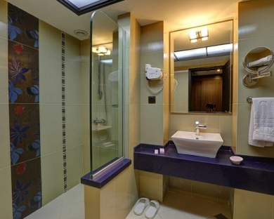 Enghelab Hotel Tehran 14