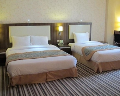 Enghelab Hotel Tehran 19