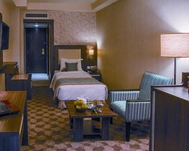 Enghelab Hotel Tehran 22