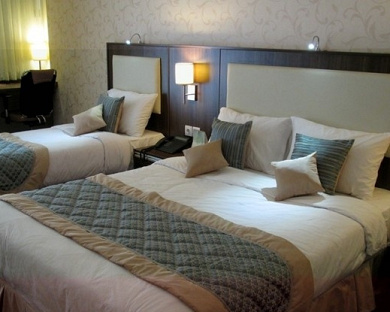 Enghelab Hotel Tehran 29