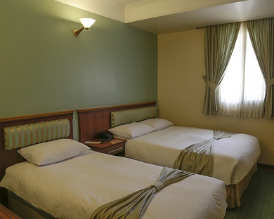 Eskan Hotel Tehran 5
