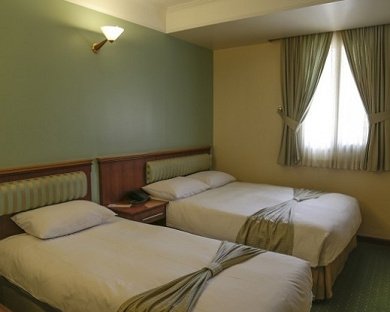 Eskan Hotel Tehran 10