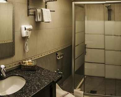Eskan Hotel Tehran 15