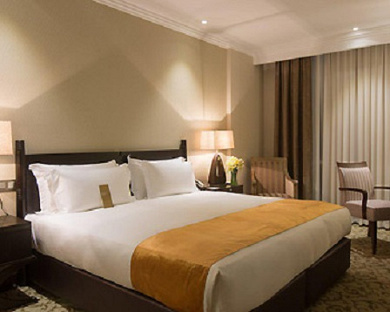 Espinas Palace Hotel Tehran 80