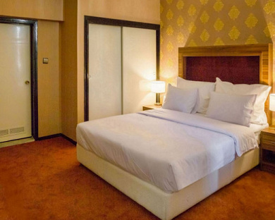 Esteghlal Hotel Tehran 34