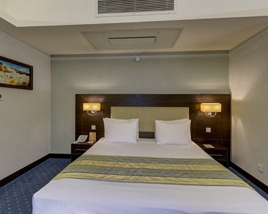 Evin Hotel Tehran 32