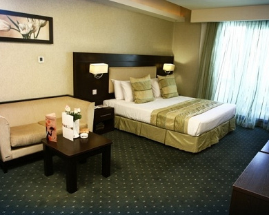 Evin Hotel Tehran 39