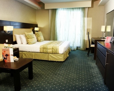 Evin Hotel Tehran 41