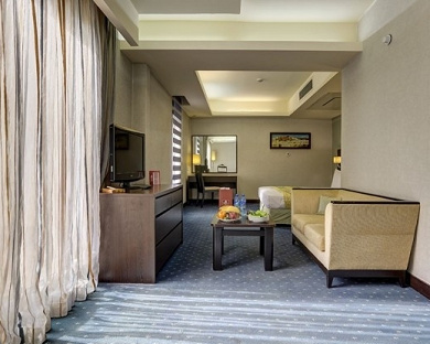 Evin Hotel Tehran 53
