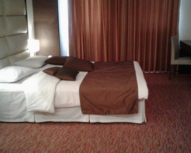 Ferdowsi Hotel Tehran 8