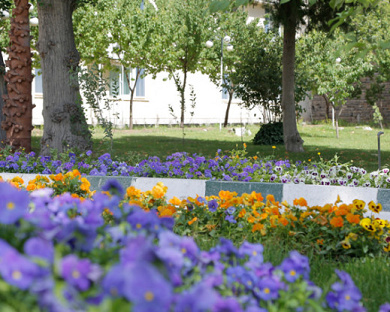 Ghasr Al Ziafeh Hotel Mashhad 27