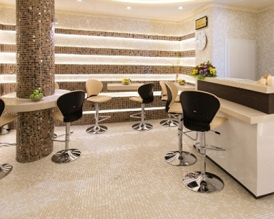 Ghasr International Hotel Mashhad 60