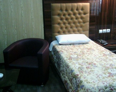 Hafez Hotel Tehran 6