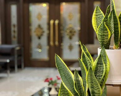 Hafez Hotel Tehran 7