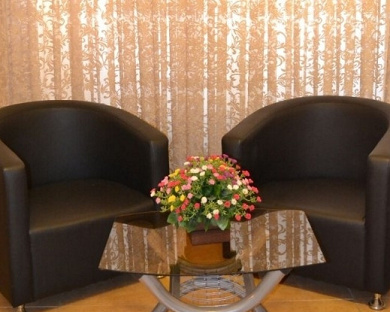 Hafez Hotel Tehran 12