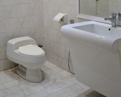 Hafez Hotel Tehran 21