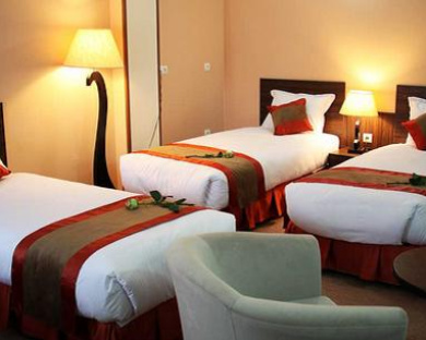 Park Plaza Hotel (formerly Hejab) Hotel Tehran 21