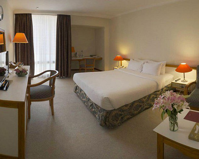 Homa Hotel Tehran 58