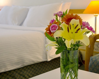 Homa Hotel Tehran 7